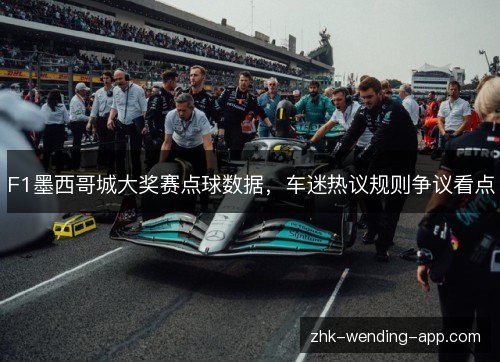 F1墨西哥城大奖赛点球数据，车迷热议规则争议看点
